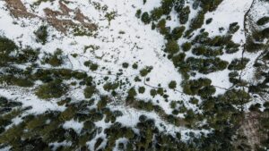 Importance of Cooldown