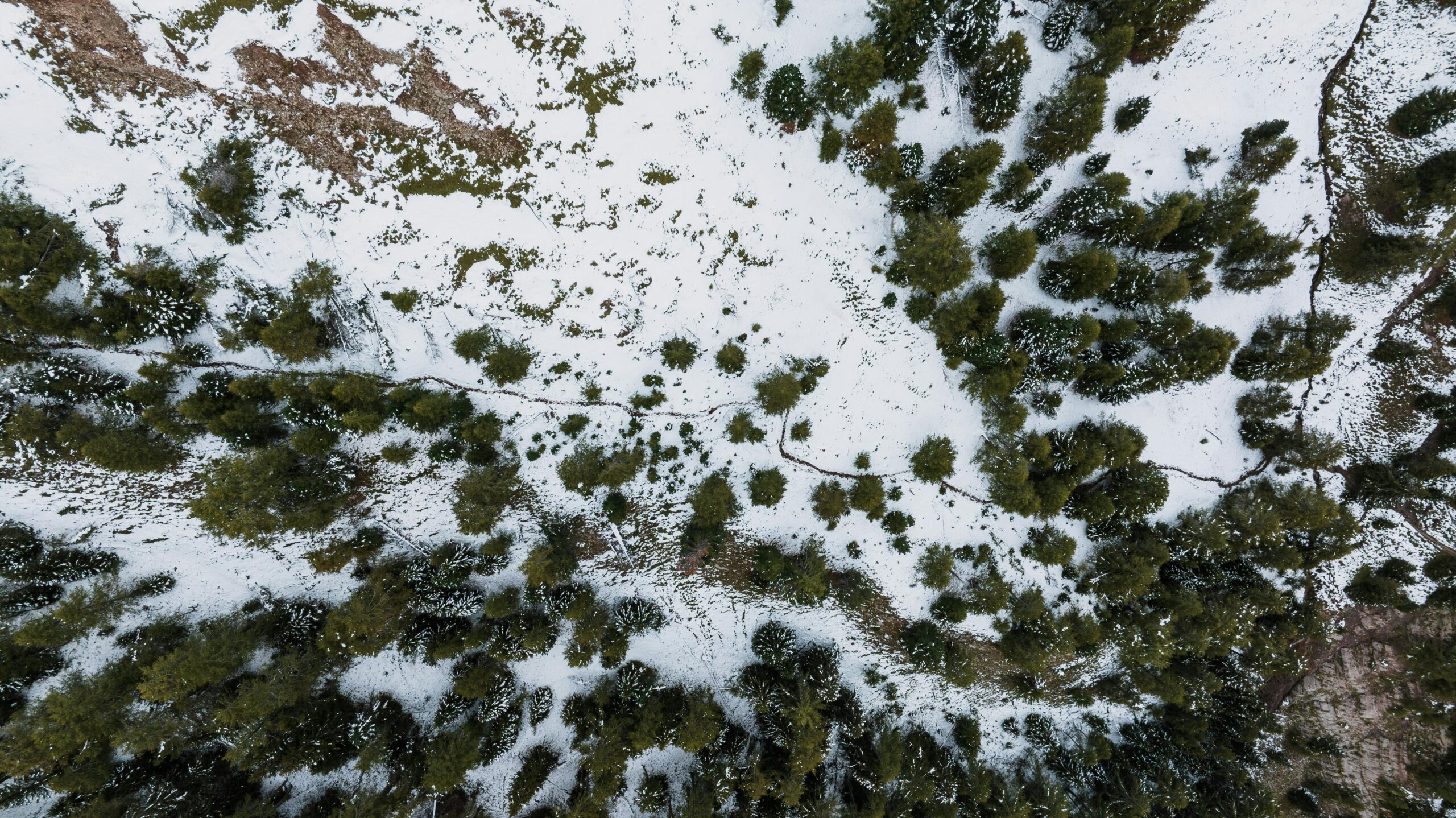 Importance of Cooldown